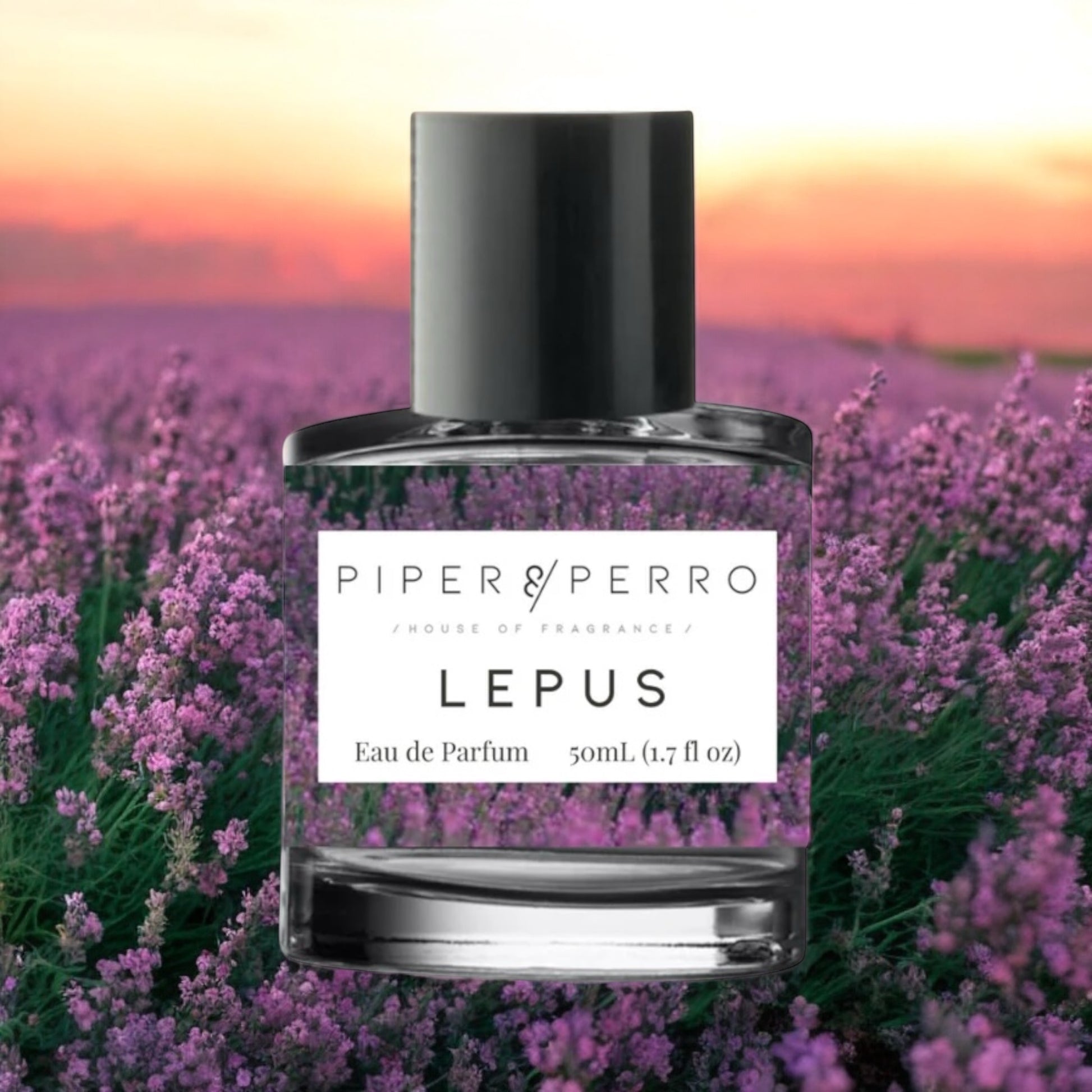 Close-up of Piper & Perro Lepus fragrance sample, capturing the soothing blend of black tea latte, vanilla, and soft musk for a calming, celestial scent experience.