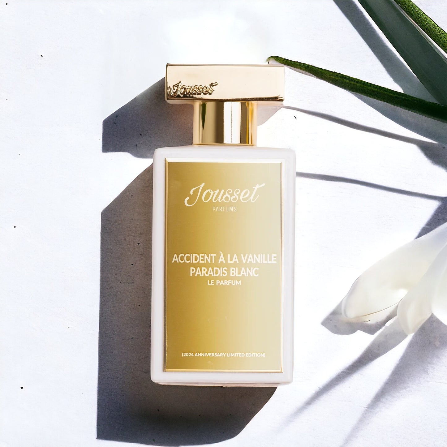 Close-up of Paradis Blanc perfume sample, blending sparkling fruit, floral gardenia, and creamy vanilla.