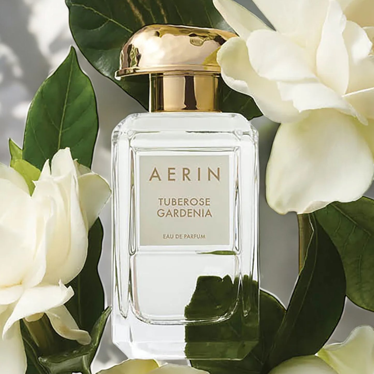 Aerin Tuberose Gardenia fragrance sample – creamy tuberose and radiant gardenia styled in a romantic floral setting
