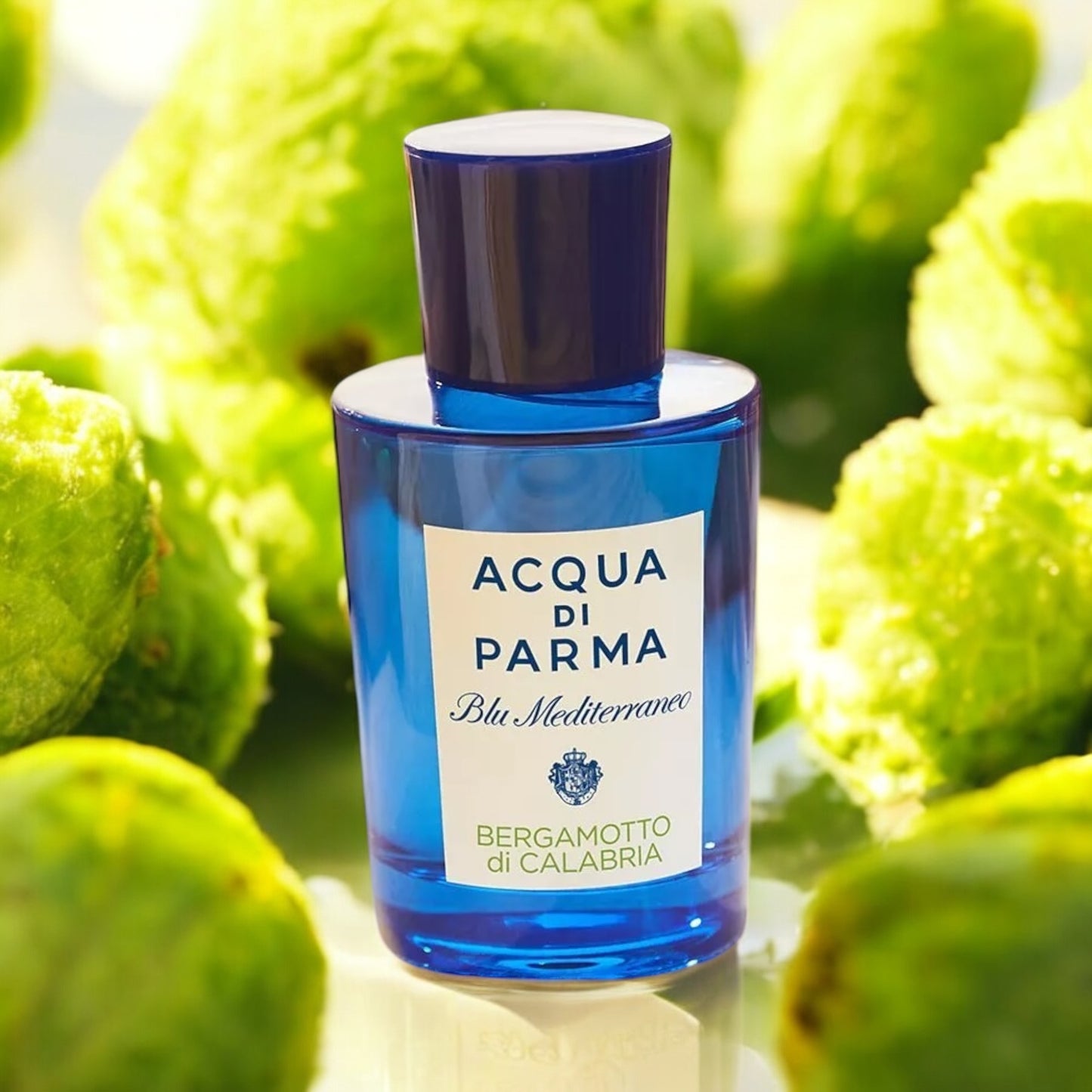 Close-up of Bergamotto di Calabria perfume sample with sunlit reflections, evoking the freshness and warmth of the Italian coast.