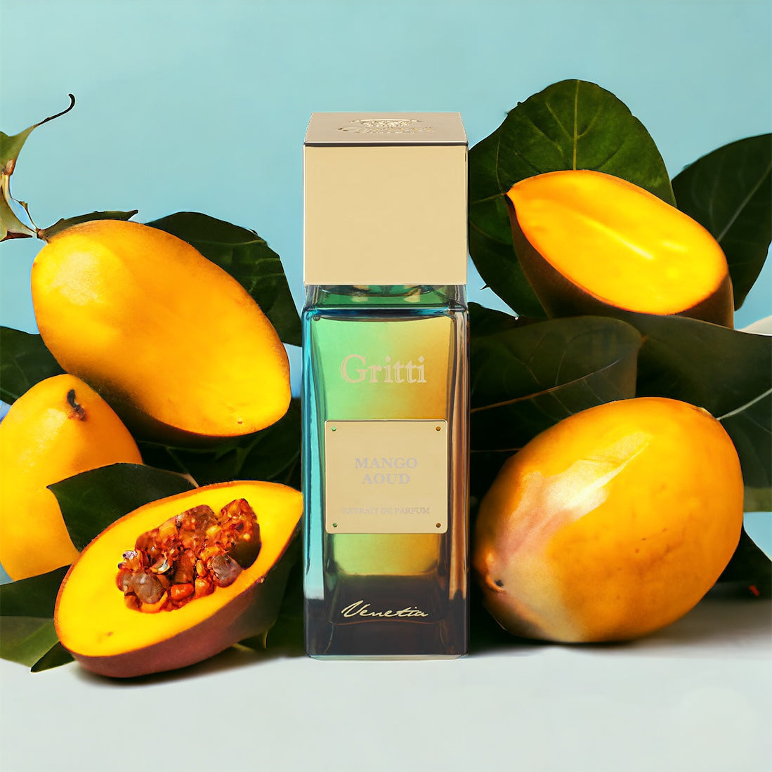 gritti mango aoud oud