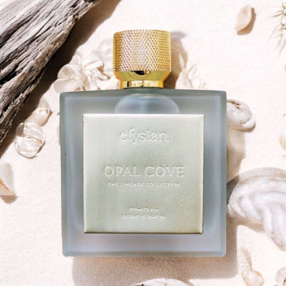 Close-up of a fragrance sample of Opal Cove, highlighting its beachy, creamy, and mineral notes for a tranquil coastal scent experience.