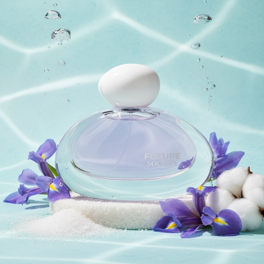 Future Society Cloud Reverie