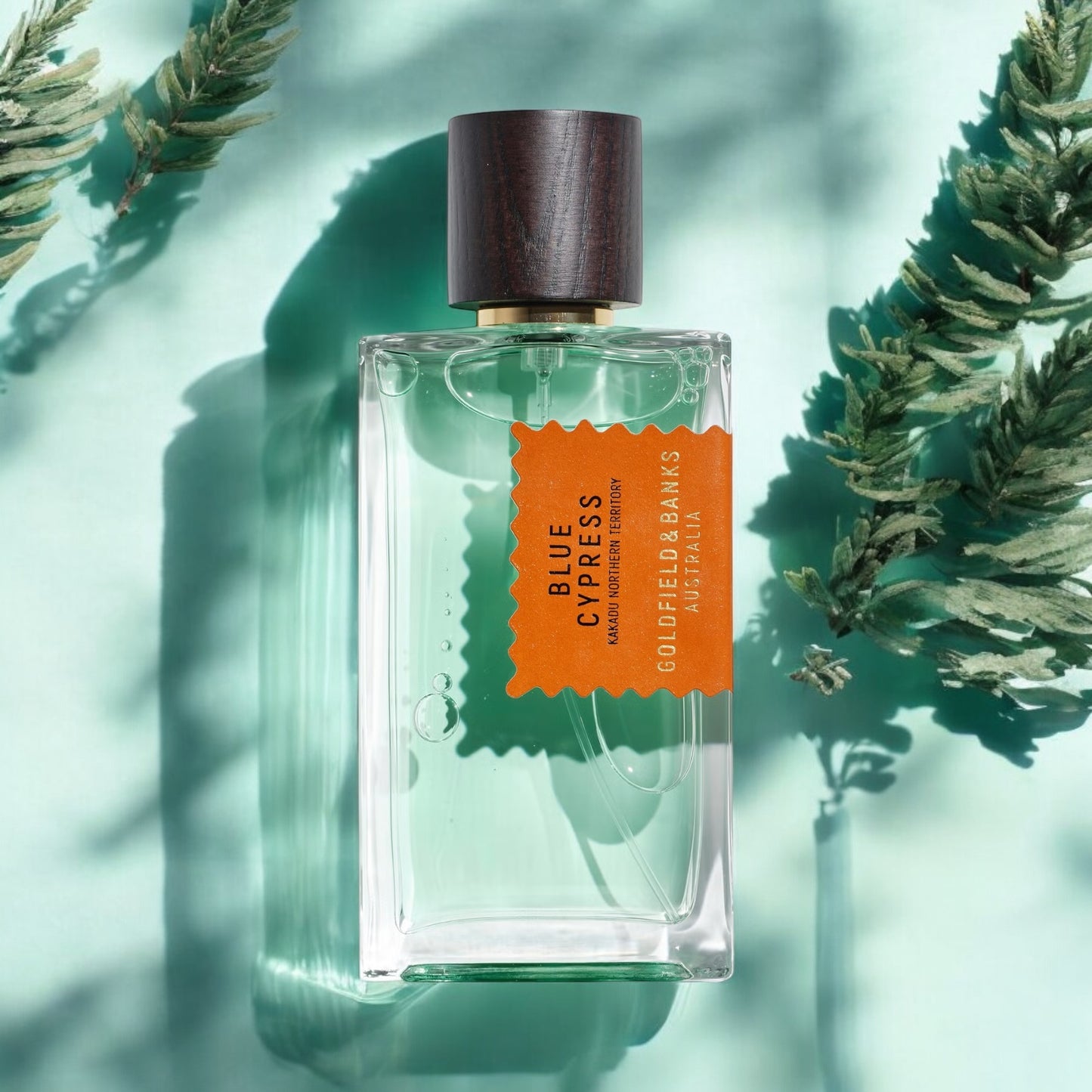 Fragrance sample of Blue Cypress by Goldfield & Banks, highlighting its crisp and misty aroma of eucalyptus forest mornings.
