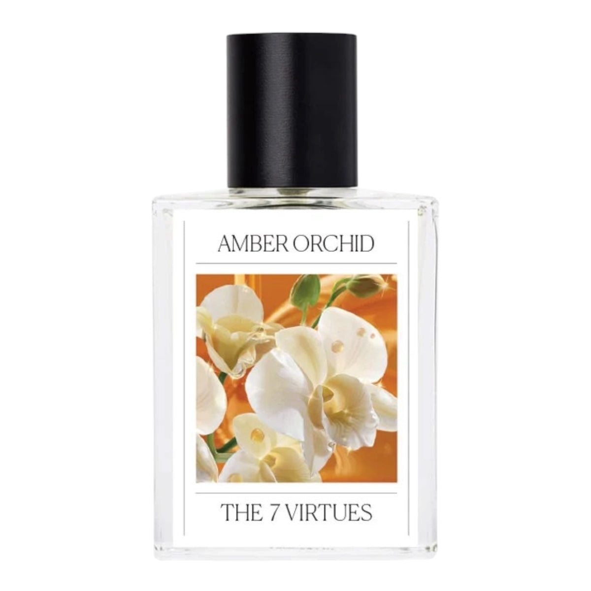 The 7 Virtues Amber Orchid