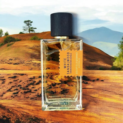 Close-up of a perfume sample of White Sandalwood showcasing its spicy top notes and smooth woody base with Turkish rose and amber.