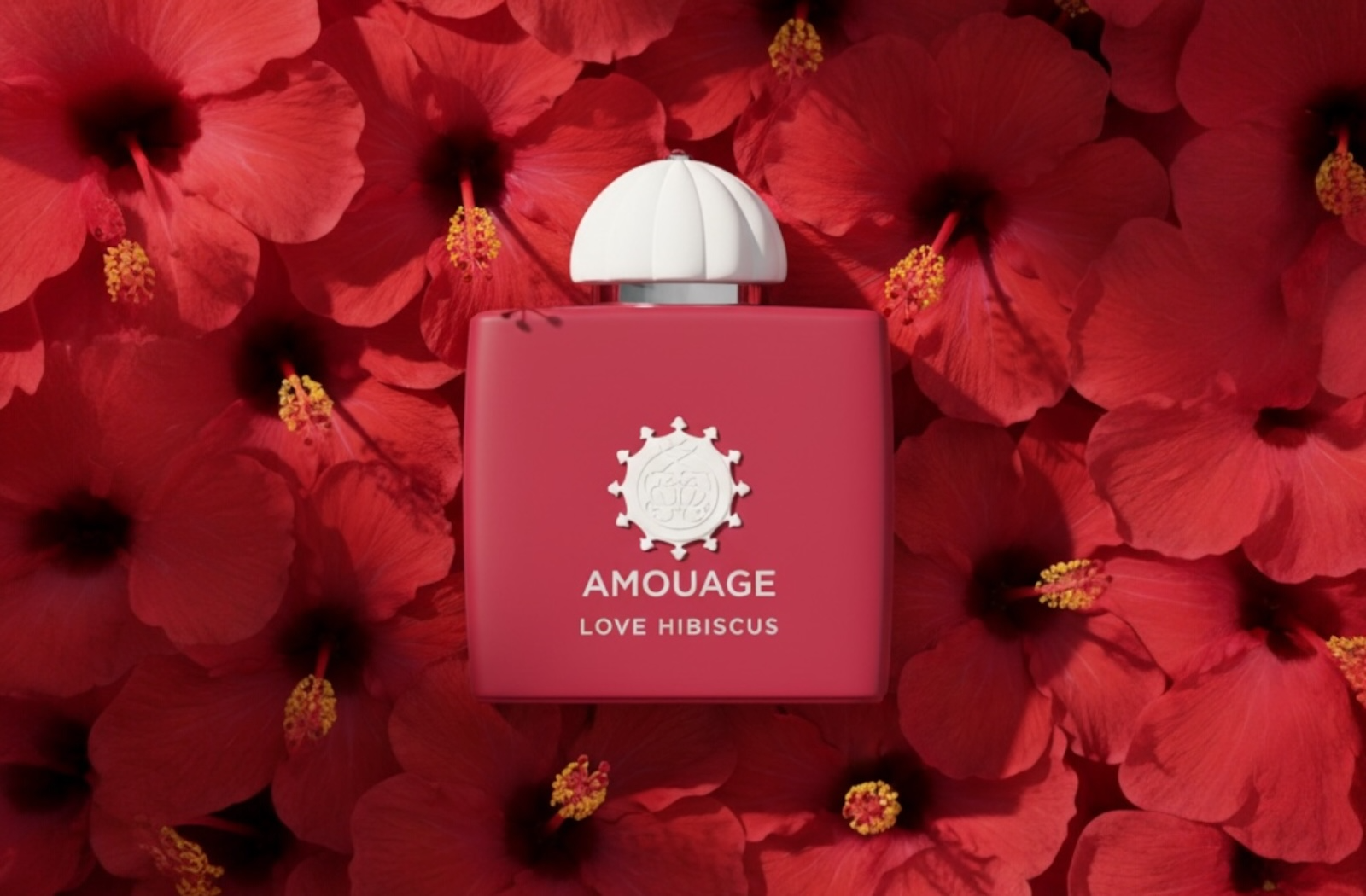 Your Signature Scent Awaits