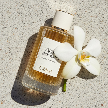 Chloé Atelier des Fleurs Vanilla Planifolia styled with vanilla orchid