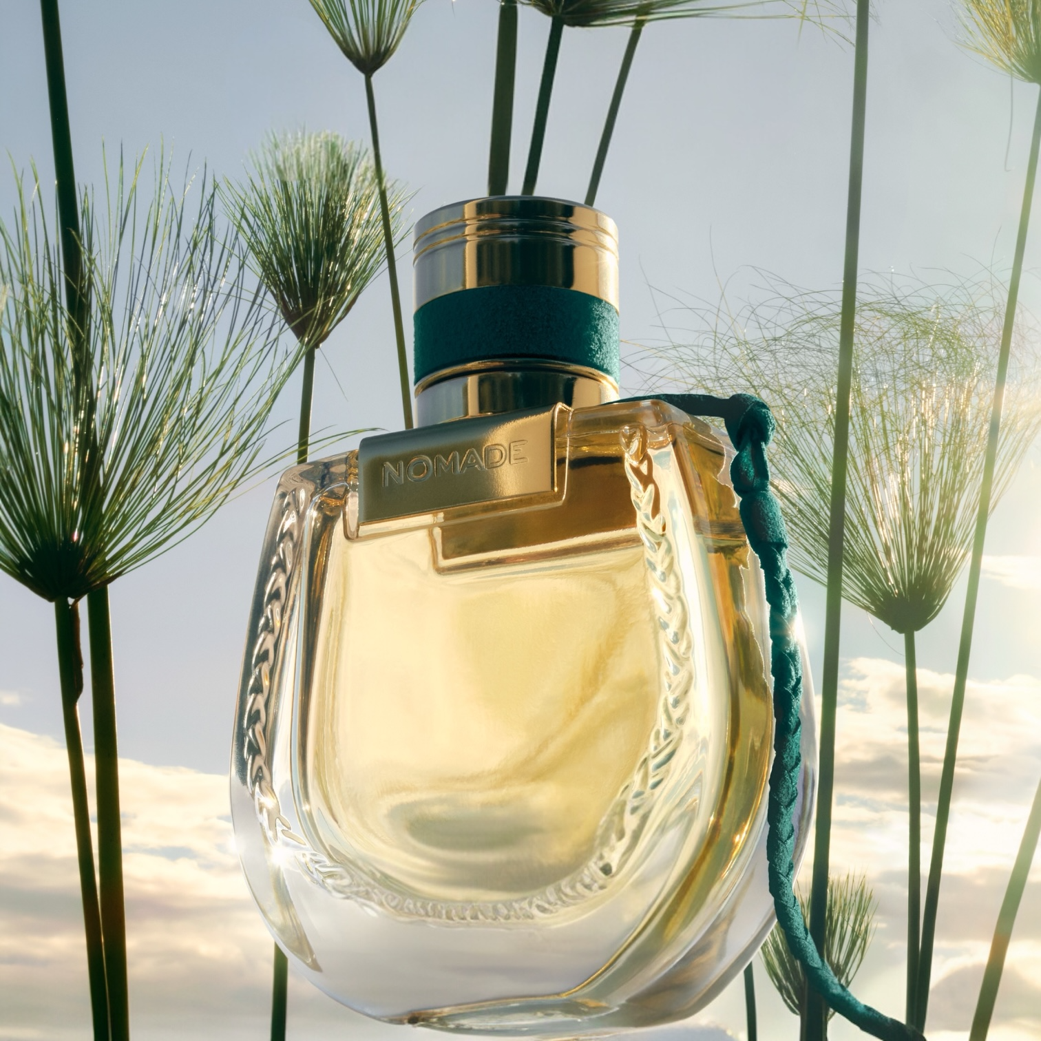 Chloé Nomade Jardin d'Égypte perfume styled in a green, sunlit setting