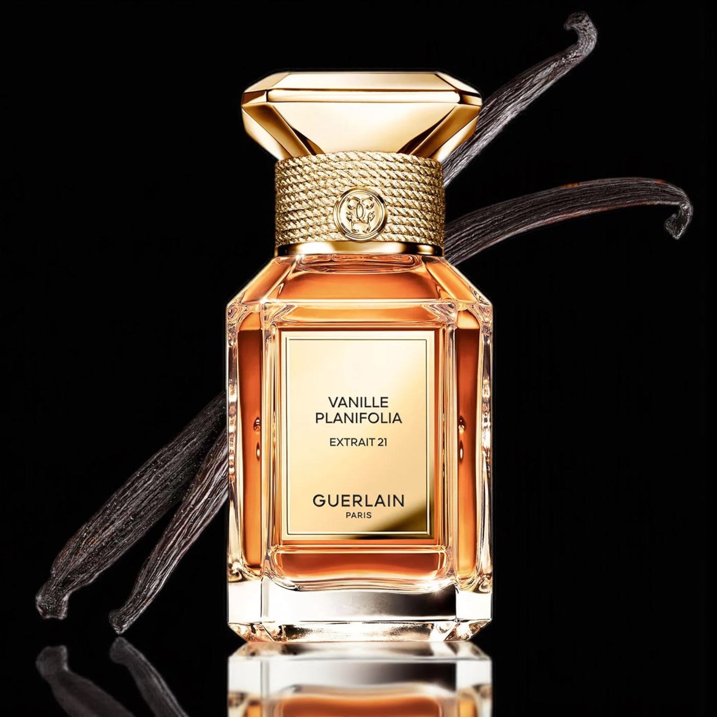 Guerlain Vanille Planifolia Extrait 21 perfume sample – rich vanilla and amber notes styled in a dark, luxurious setting with black vanilla pods.