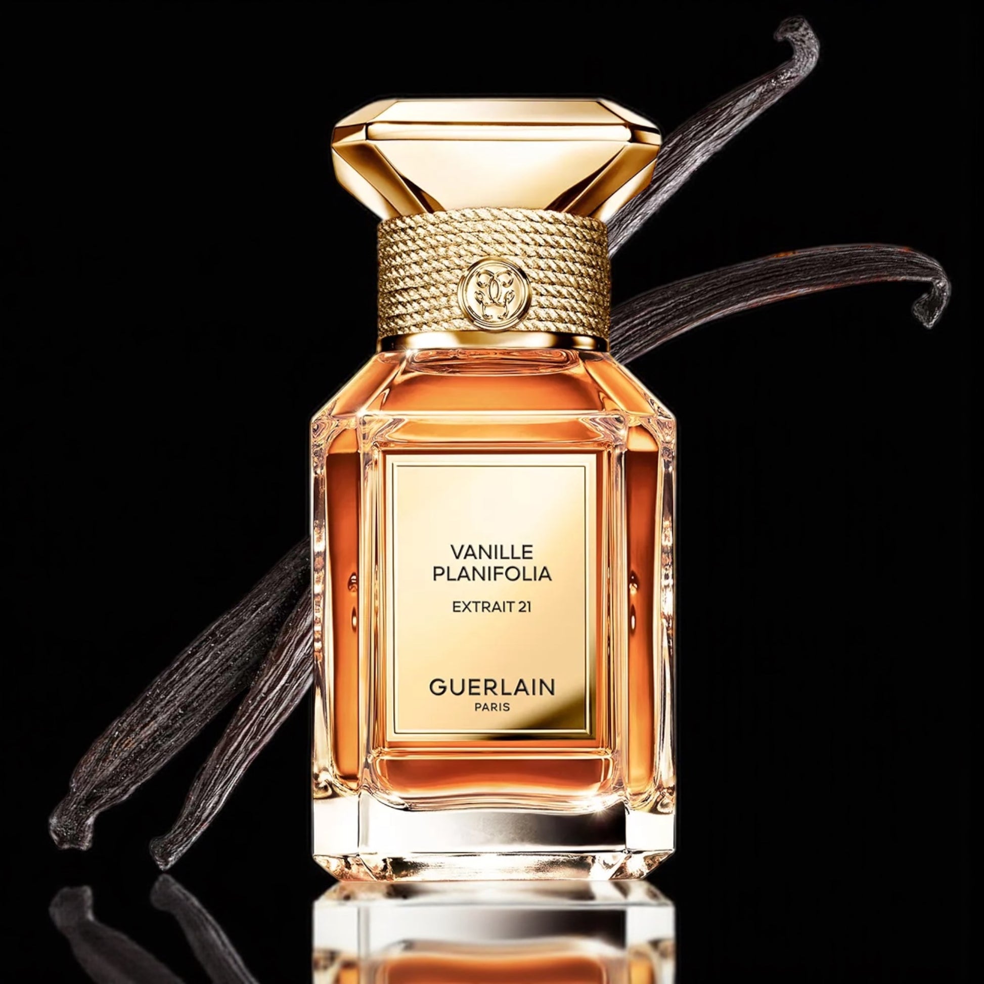 Guerlain Vanille Planifolia Extrait 21 perfume sample – rich vanilla and amber notes styled in a dark, luxurious setting with black vanilla pods.