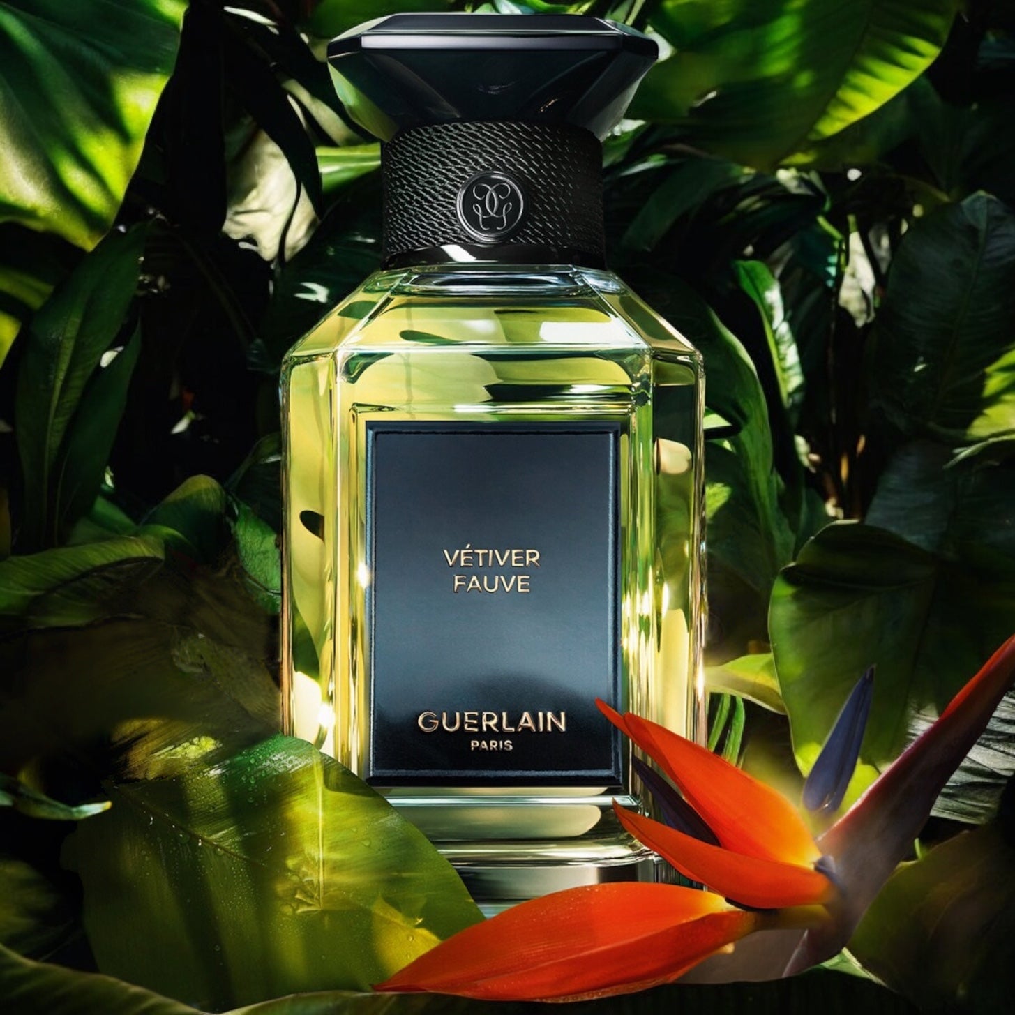 Guerlain Vétiver Fauve perfume sample - jungle-inspired vetiver and fig fragrance styled in a lush, green setting