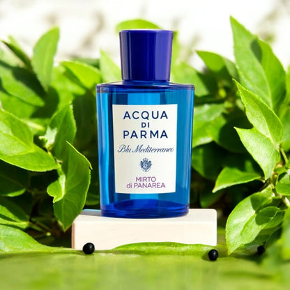 Close-up of Mirto di Panarea fragrance sample, capturing its Mediterranean freshness and aromatic herbaceous notes.
