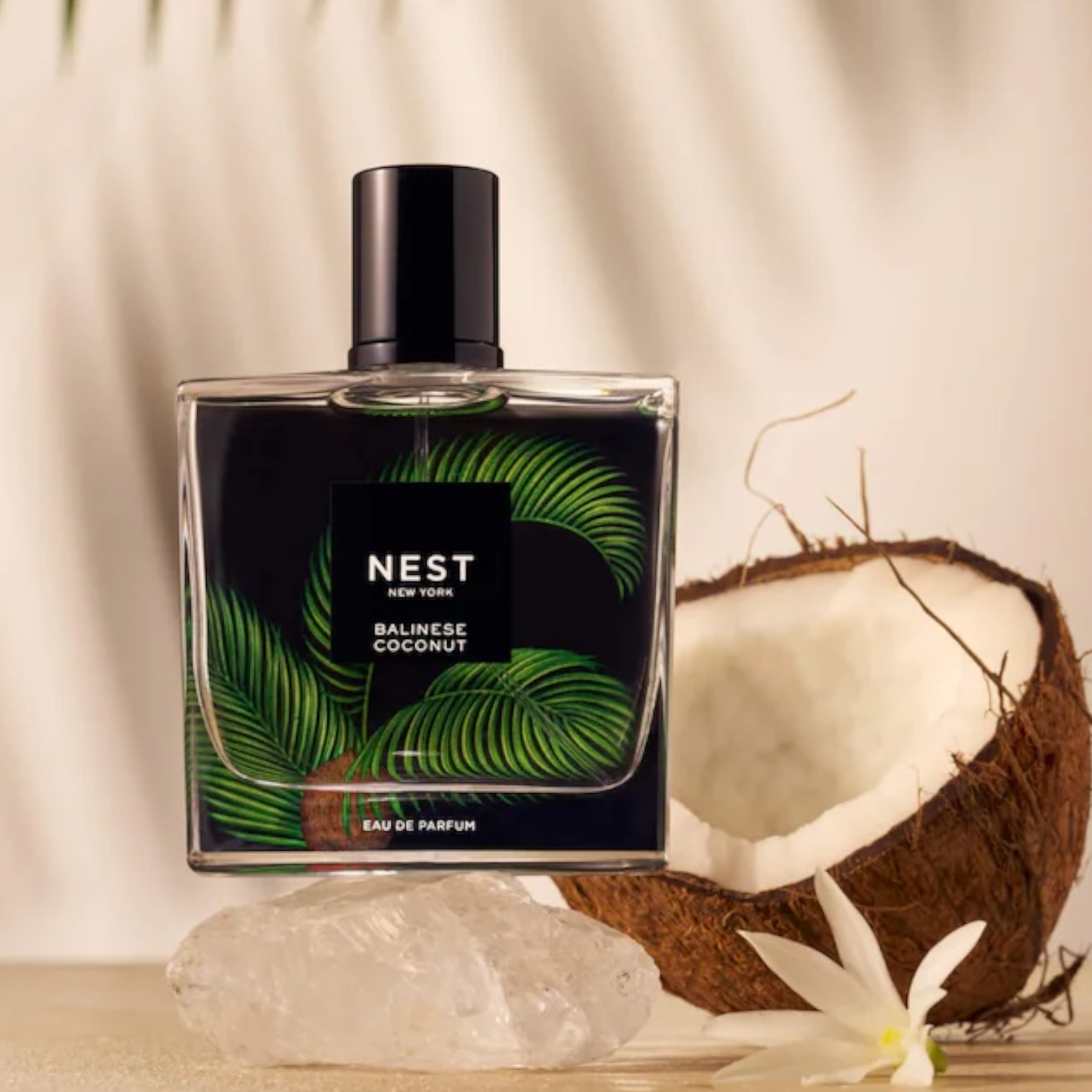NEST New York Balinese Coconut perfume styled in a tropical, sunlit setting